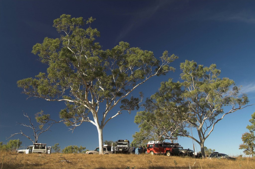 Vehicles under gum trees MountainTop Experience